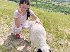 -乌兰布统草原