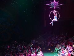 -珠海横琴长隆《卡卡虎奇遇记》