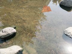 -茯茶镇
