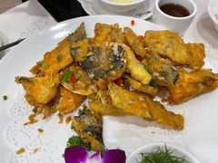 -寻味顺德·南记酒家·传统顺德菜·鱼生(广源路店)