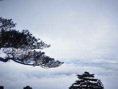 -萍乡武功山风景名胜区