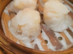 渔村野生虾饺皇-南海渔村(珠江新城店)