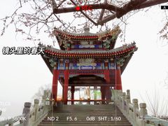 -颐和园