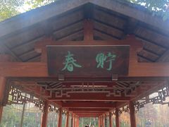 -重庆彩云湖湿地公园