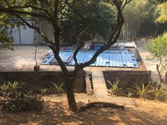 -彩虹桥宠物火化殡葬善终服务(金乐大厦店)