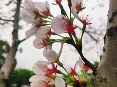 -洋湖国家湿地公园