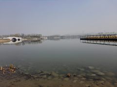 -北京麋鹿生态实验中心