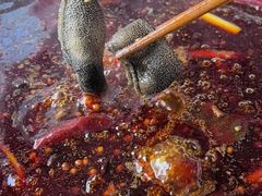-桃花沅火锅(长嘉汇江景店)