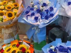 -大自然花鸟鱼虫市场