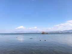 -洱海月湿地公园
