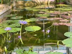 -国家植物园南园