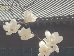 -护国法轮寺