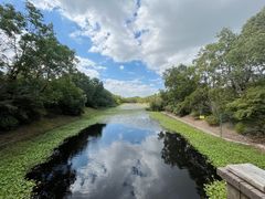 -上海海湾国家森林公园