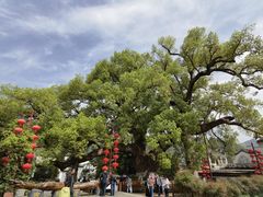 -新安江山水画廊风景区