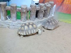 -华夏文旅海洋公园