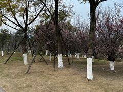 -桂溪生态公园