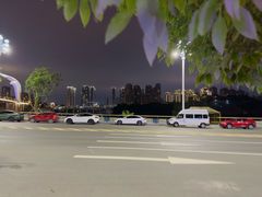 -重庆国际马戏城