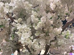 -茉莉餐厅(亳州高新万达广场希夷大道店)