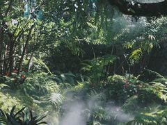 -Chom Cafe and Restaurant