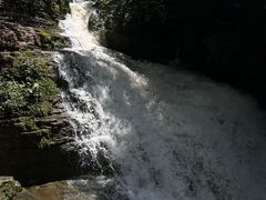 -鹿院坪生态旅游景区