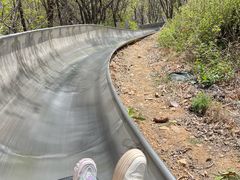 -富斯特索道