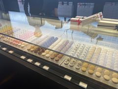 -BLACKSWAN黑天鹅(环球店)