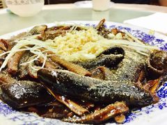-广迎居老正兴菜馆