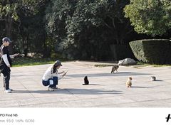 -秦始皇帝陵博物院-丽山园