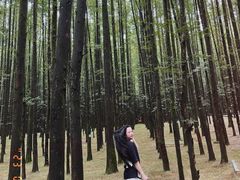 -山王坪喀斯特国家生态公园