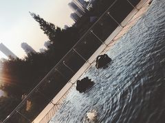 -行者书屋大堂吧 ·下午茶(南京圣和府邸酒店)