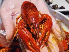 -龙巢盱眙龙虾·牛蛙·烧烤宵夜(八卦岭店)