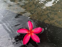 -厦门日月谷温泉渡假村