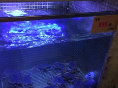 水产区-粤珍轩.创始店.始于2001(含光门店)