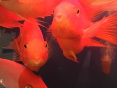 -绿岛汤泉韩式休闲会所