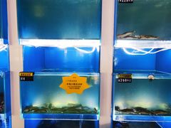 水产区-赶海部落海鲜城(海阳路店)