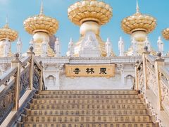 -上海东林寺(金山区)