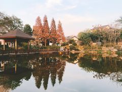 -石塘人家