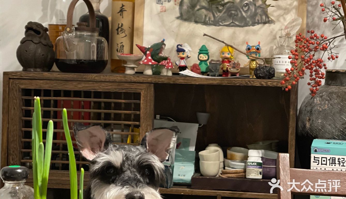 郑州居民楼这家陶瓷美学工作室太美了，9图根本放不下