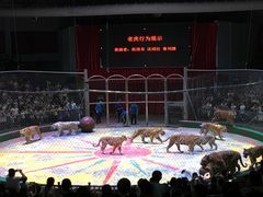 -西安秦岭野生动物园