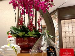 -万豪金殿(香港JW万豪酒店)