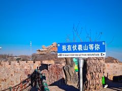 -伏羲山旅游区