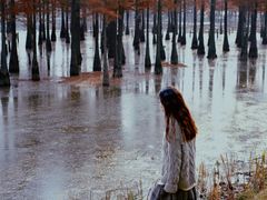 -白鹭湾湿地公园