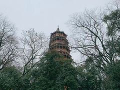 -宝通禅寺