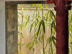 -秋霞圃