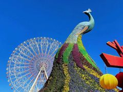 -七彩云南欢乐世界