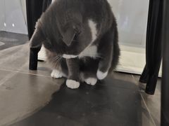 -乐果甜心·潮汕冰室(南澳后宅分店)
