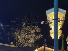 -马镇烤全羊