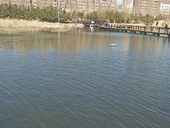 -前关湿地公园
