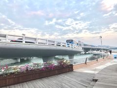 -演武大桥观景平台