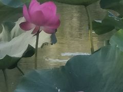 -哈尔滨师范大学(松北校区)